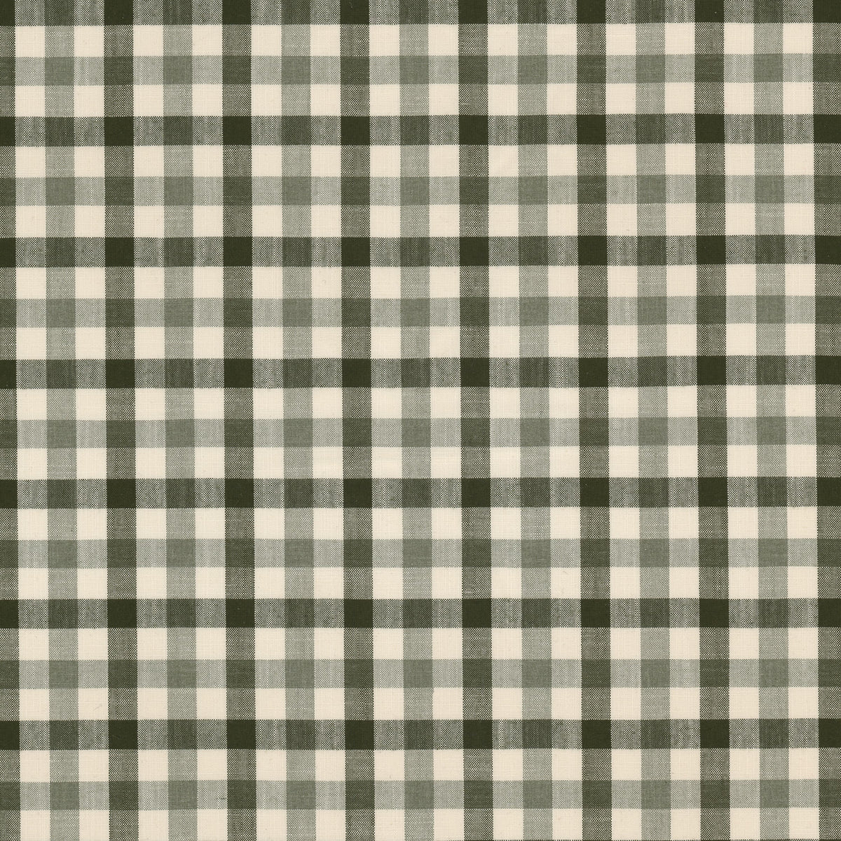 TWYLA 1 DILL