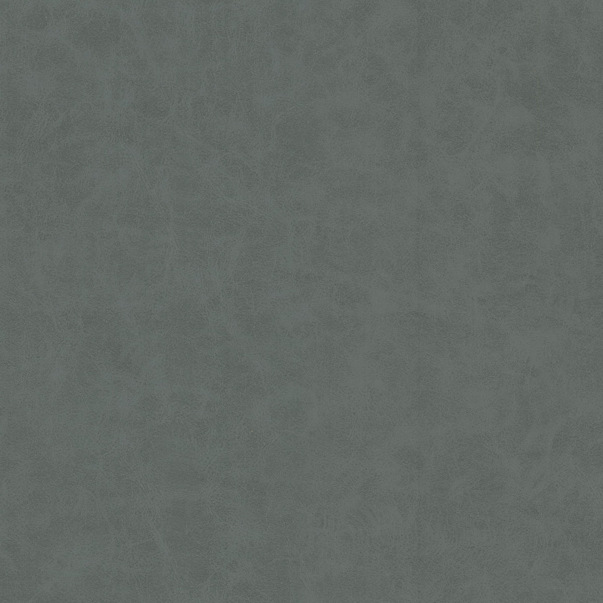UNVEIL 2 ZINC