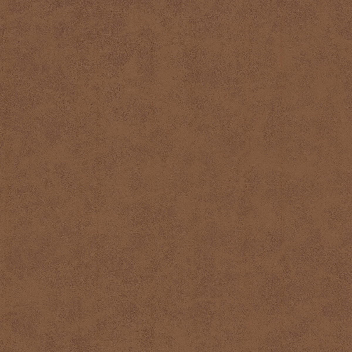UNVEIL 3 PECAN