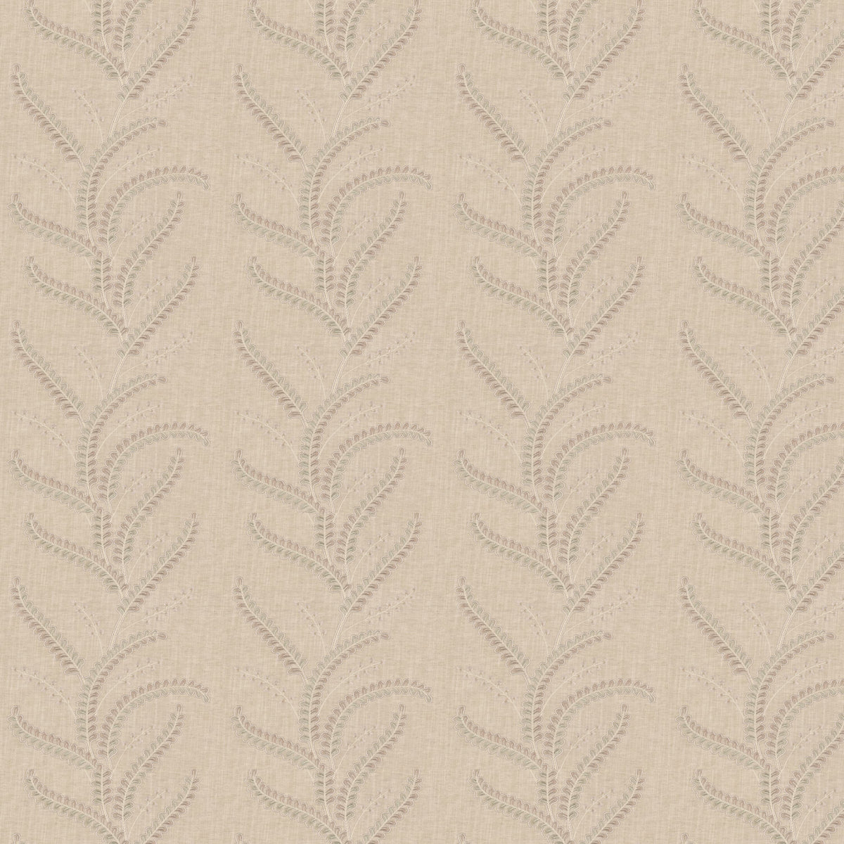 VINES 3 SANDALWOOD