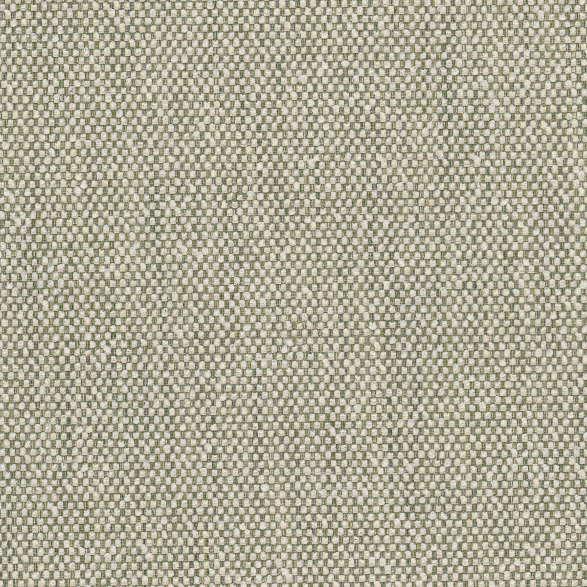 WAMPUM 1 GRASS