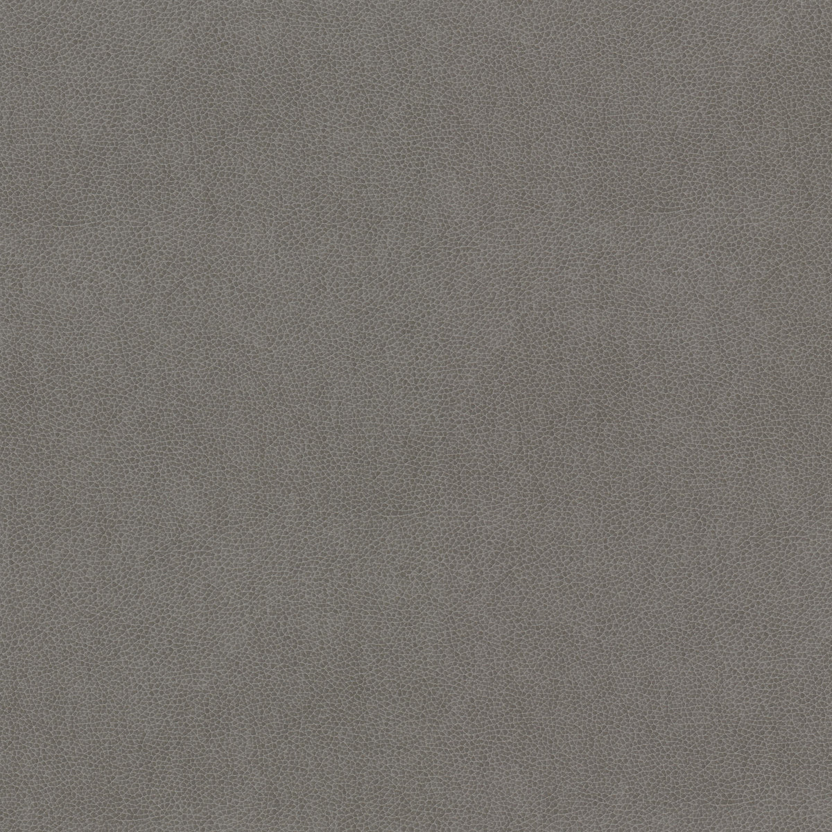 STOUT WILKINSON 2 DOVE Fabric | Atlanta Fabrics
