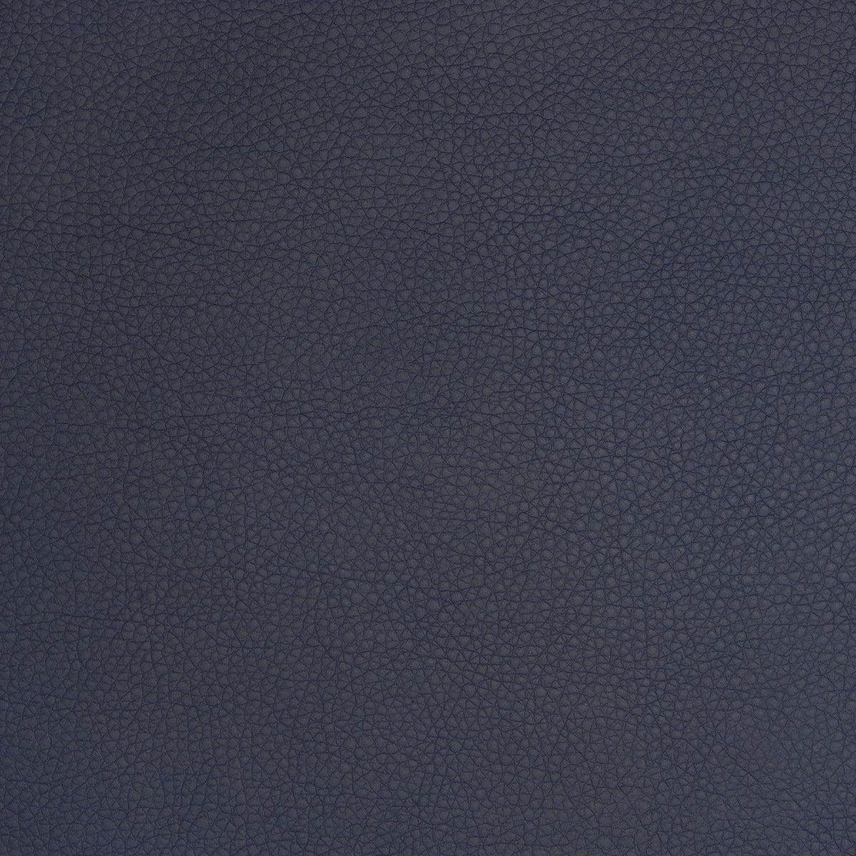 Greenhouse A9219 Fabric | Atlanta Fabrics
