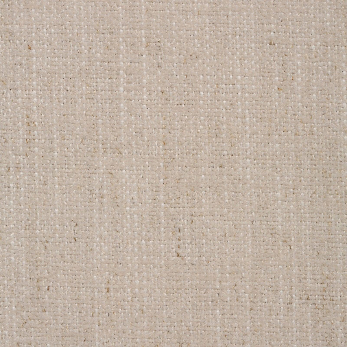 B8501 Eggshell - Atlanta Fabrics