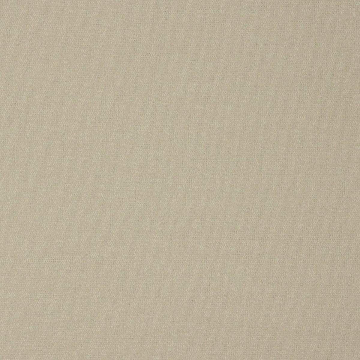 Butera-Eggshell - Atlanta Fabrics