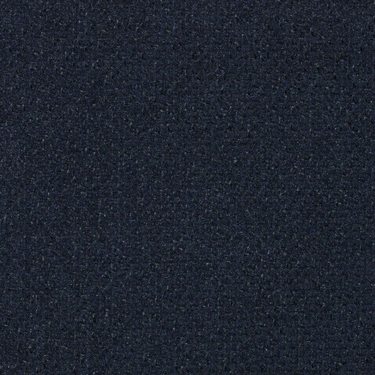 Cuddle-Blueberry - Atlanta Fabrics