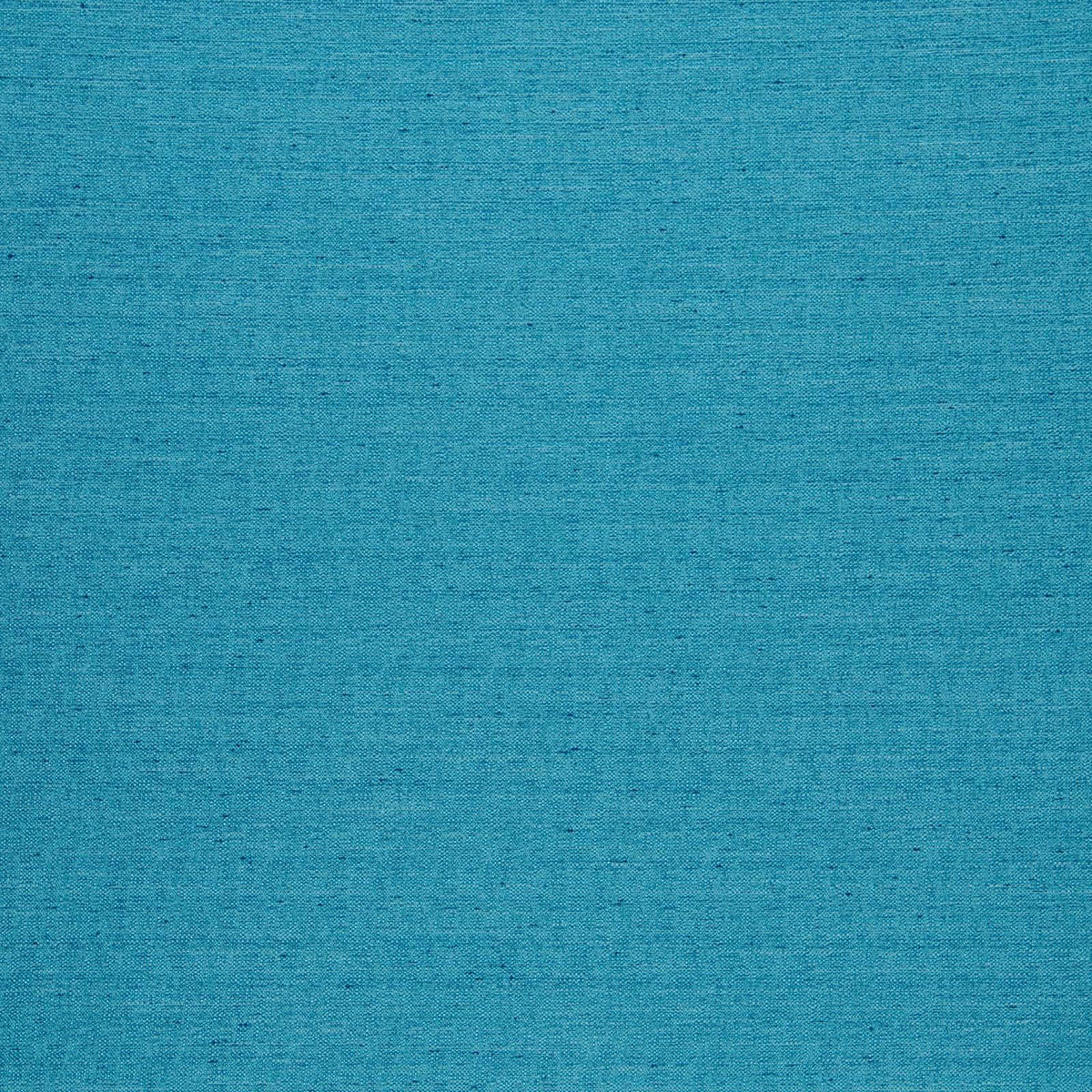 Director-Aquamarine - Atlanta Fabrics