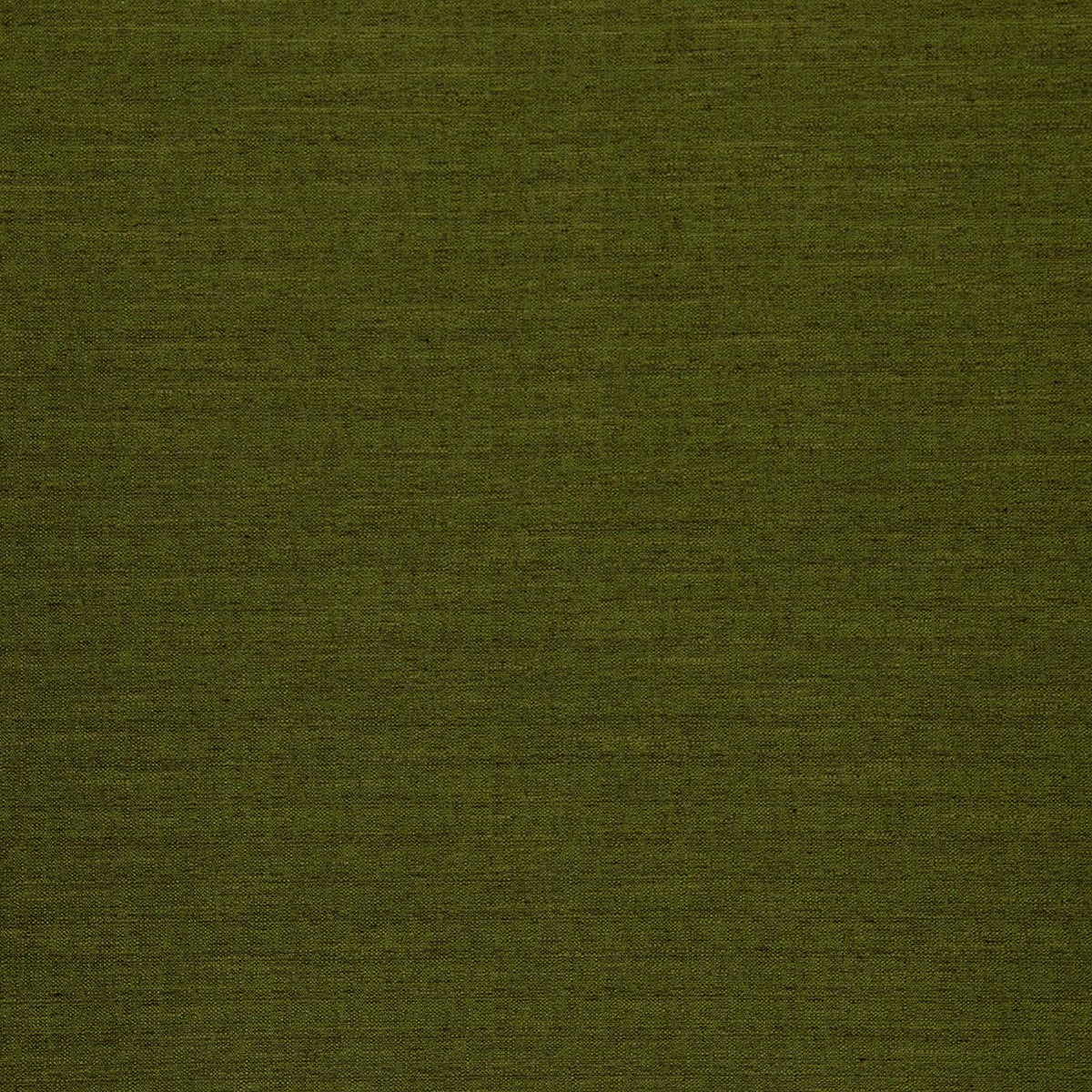 Director-Avocado - Atlanta Fabrics