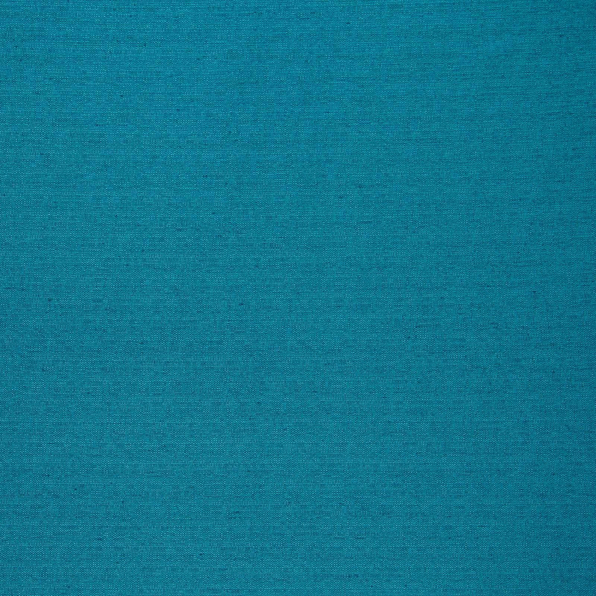 Director-Azure - Atlanta Fabrics