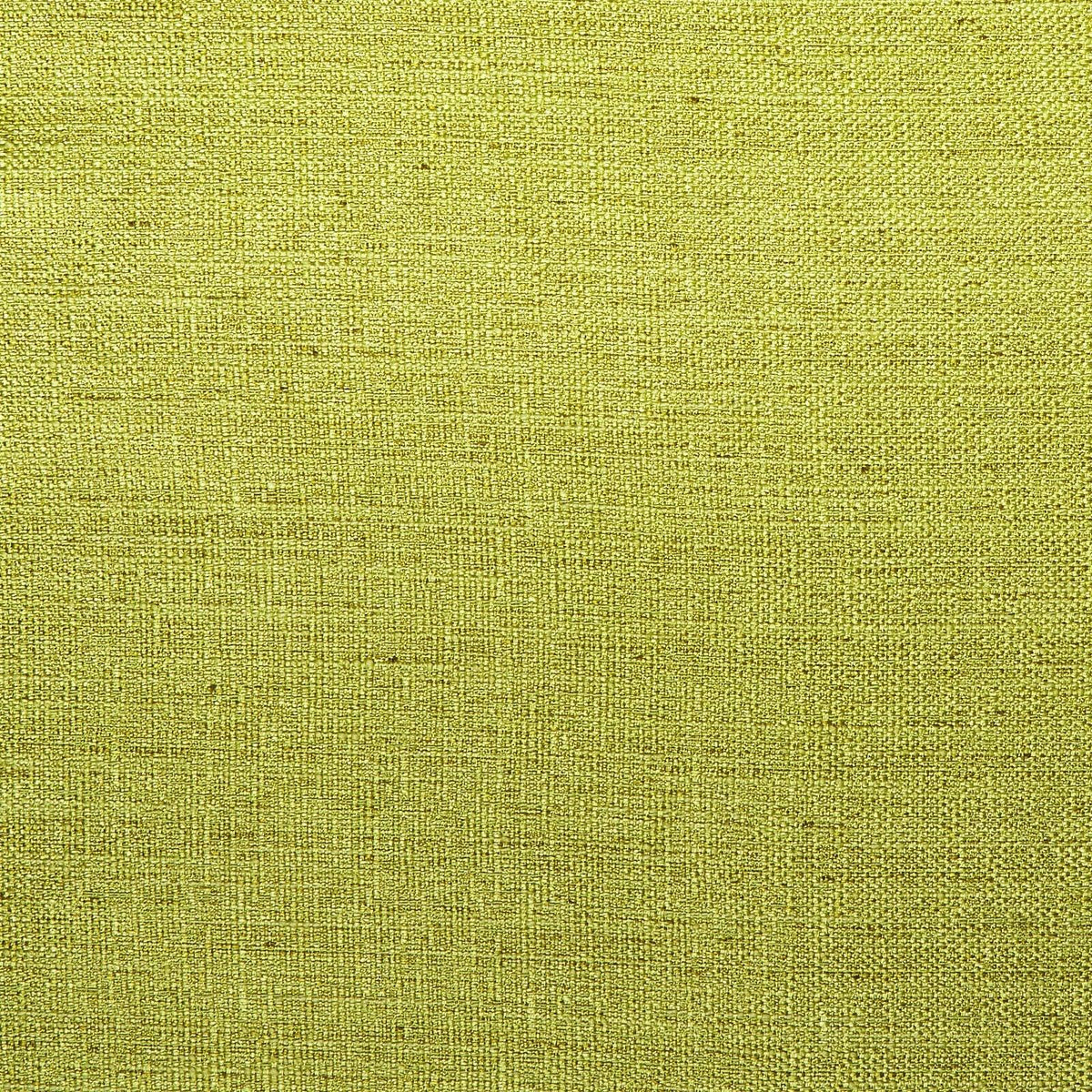 Director-Lime - Atlanta Fabrics