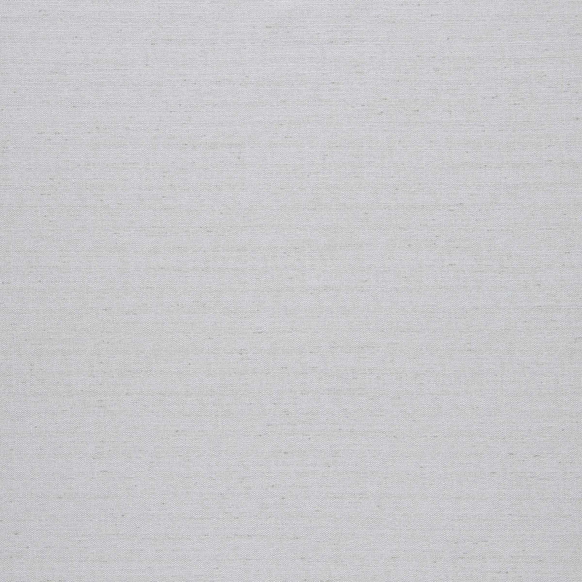 Director-Silver - Atlanta Fabrics