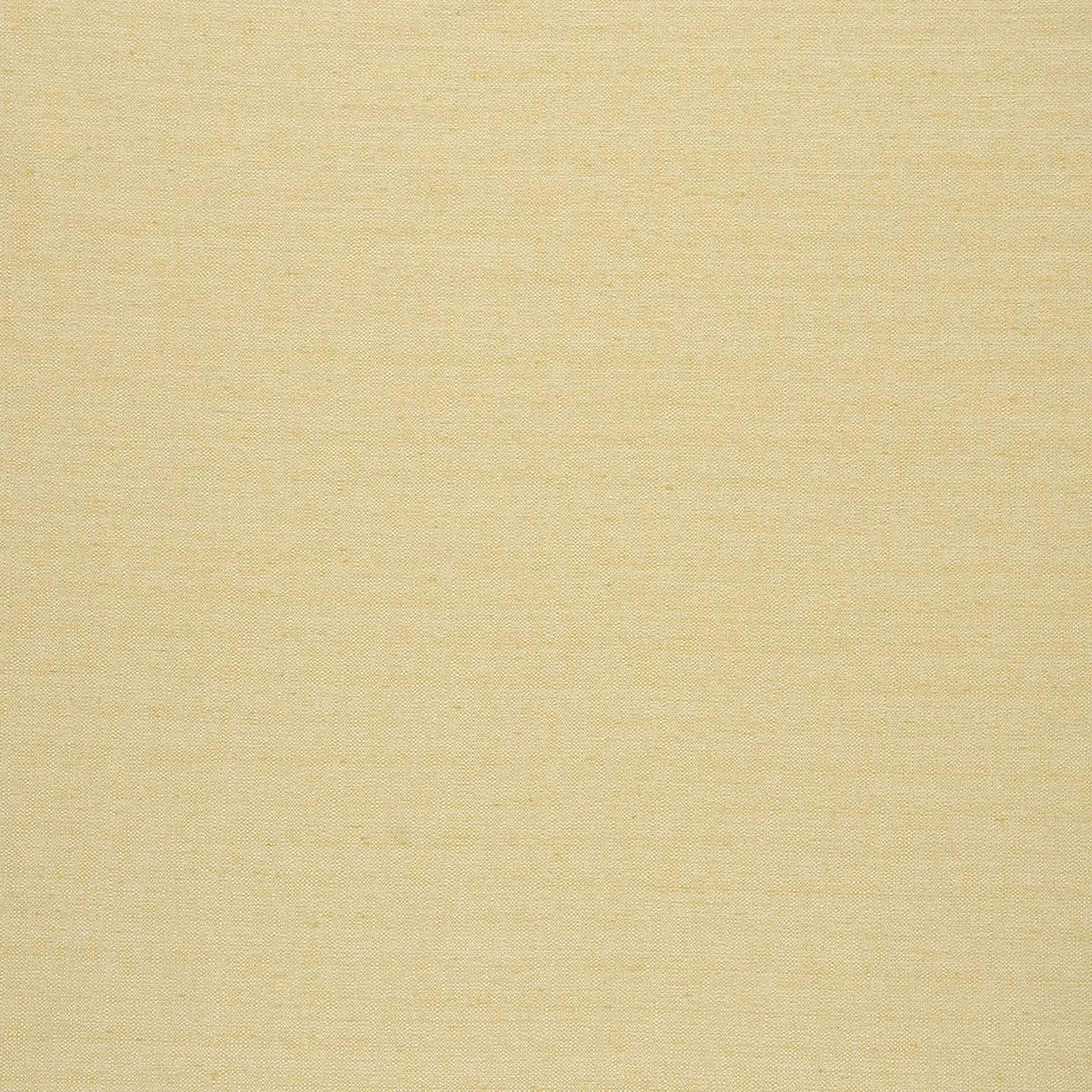 Director-Sunshine - Atlanta Fabrics