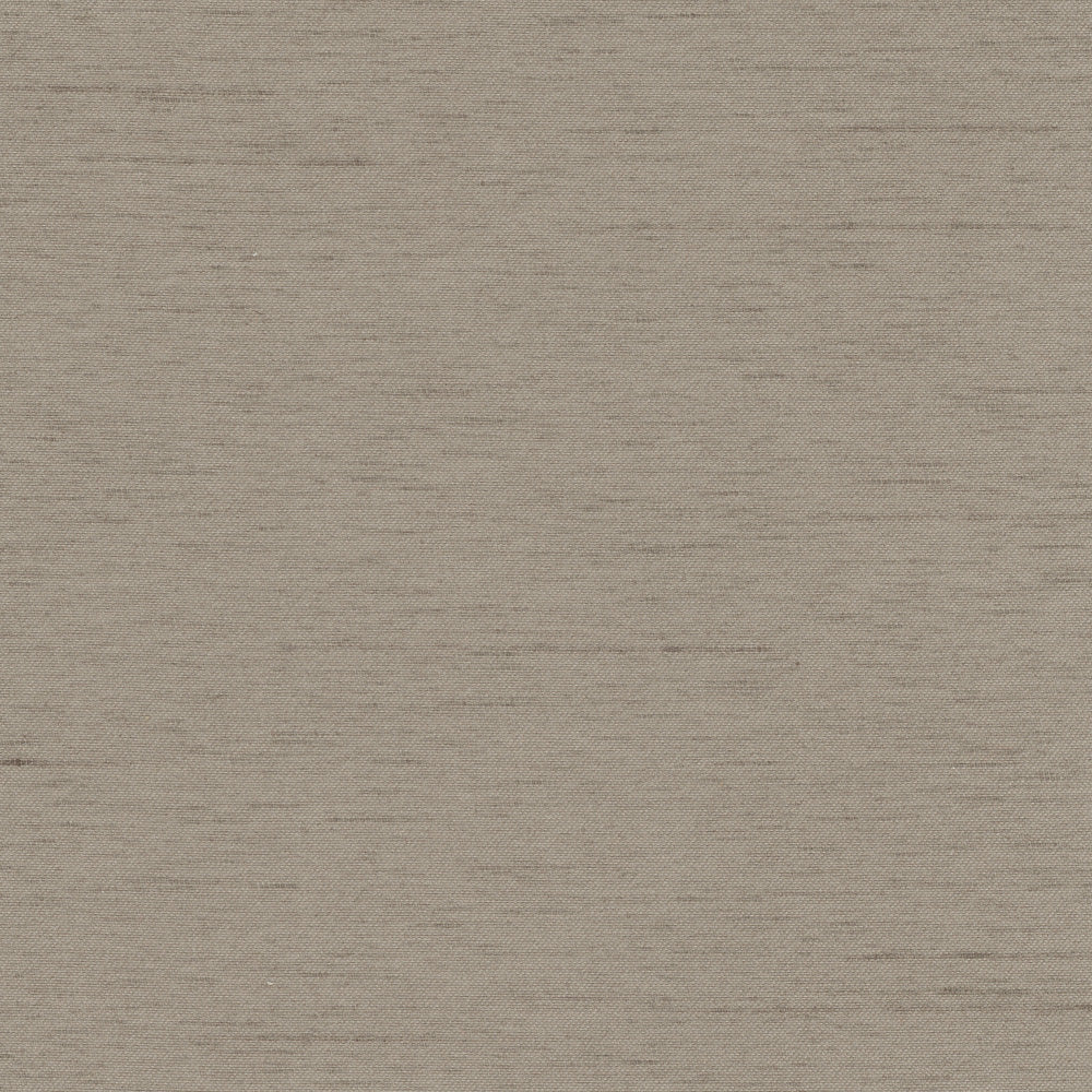 Northwind Fossil