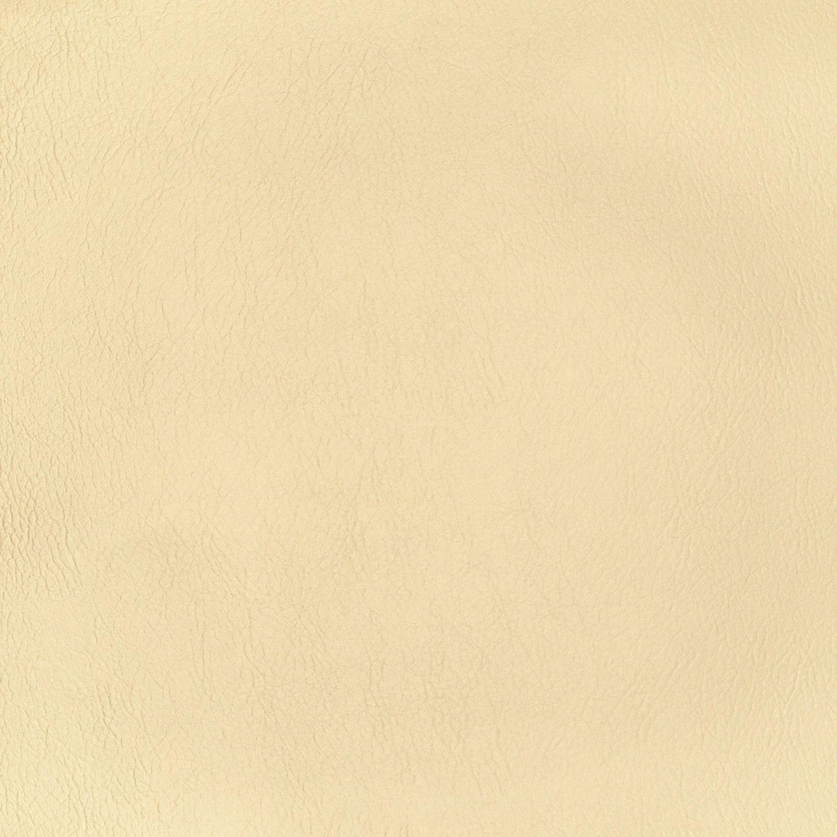 Greenhouse F2865 Fabric | Atlanta Fabrics