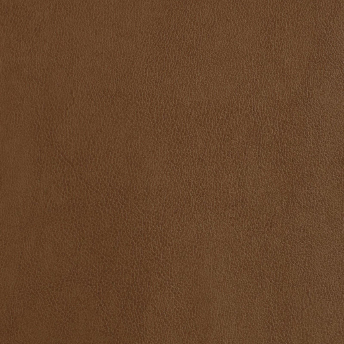 F2873 - Atlanta Fabrics