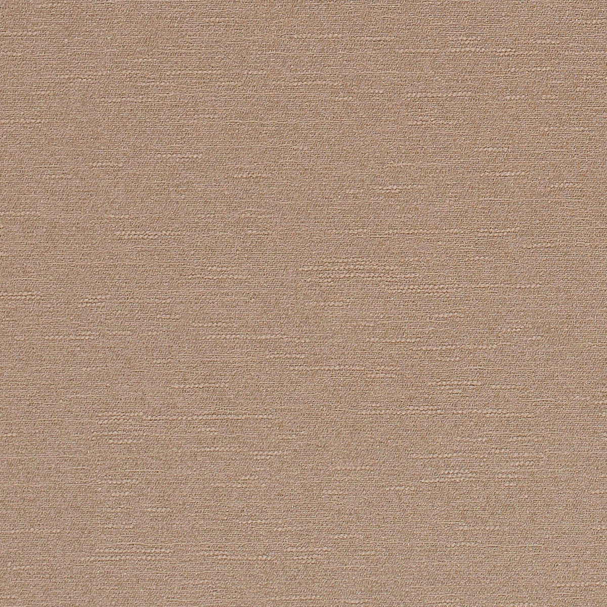 Celestial-Birch