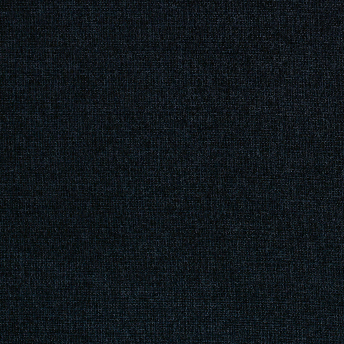 Jubilant-Midnight