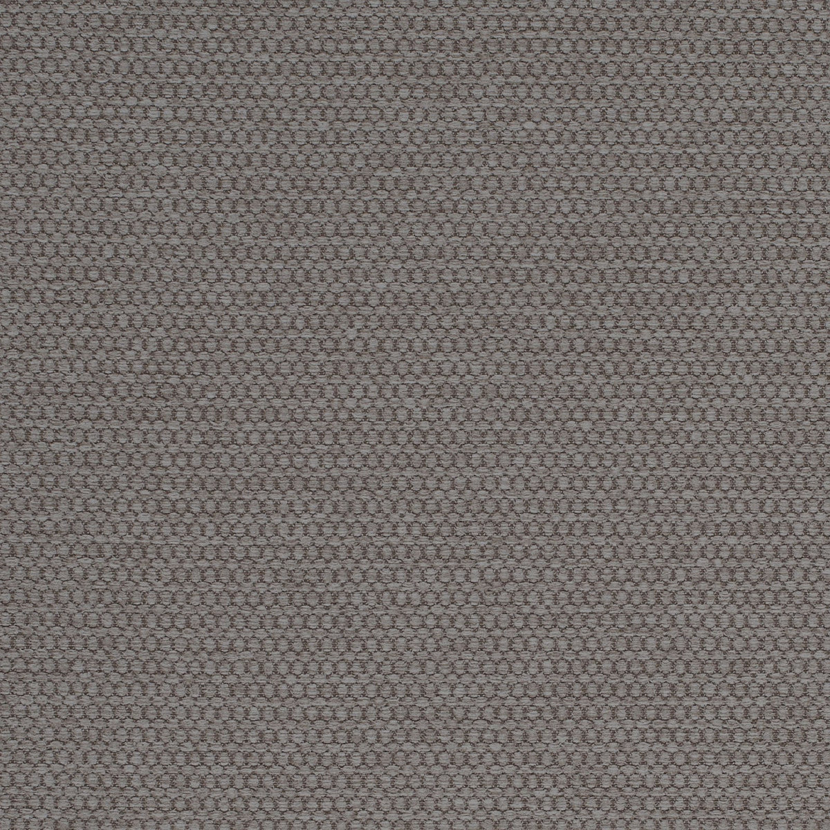 Sampson-Grey