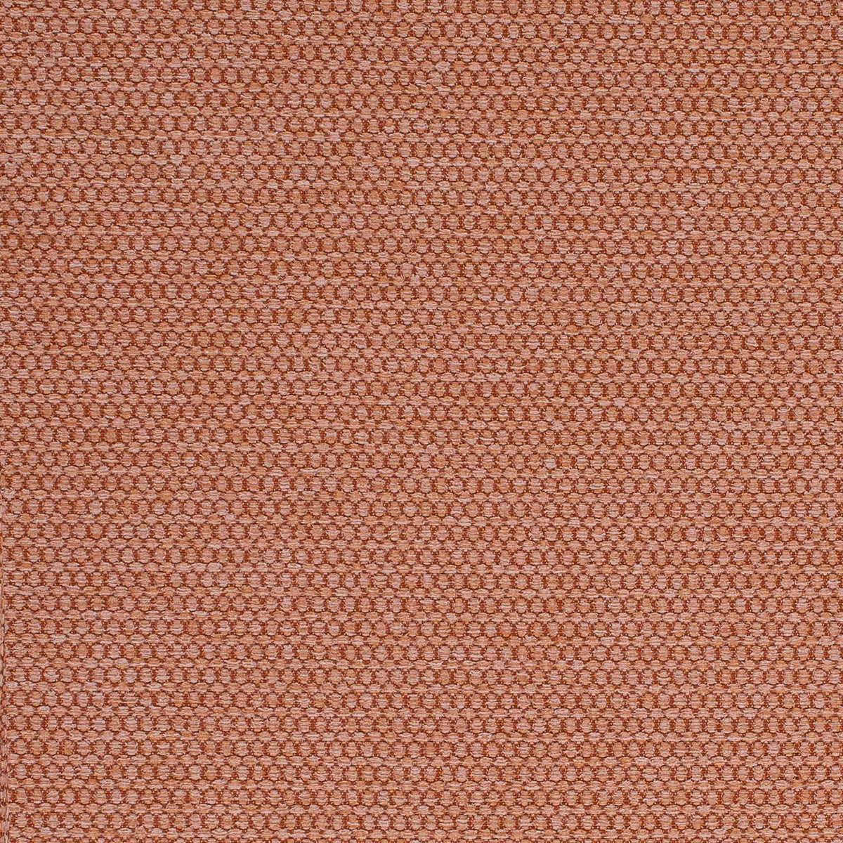 Sampson-Pale Pink