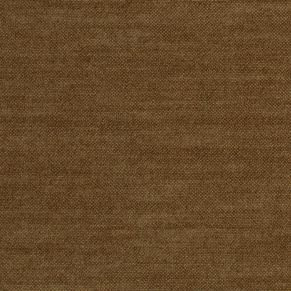Comfy-Chocolate