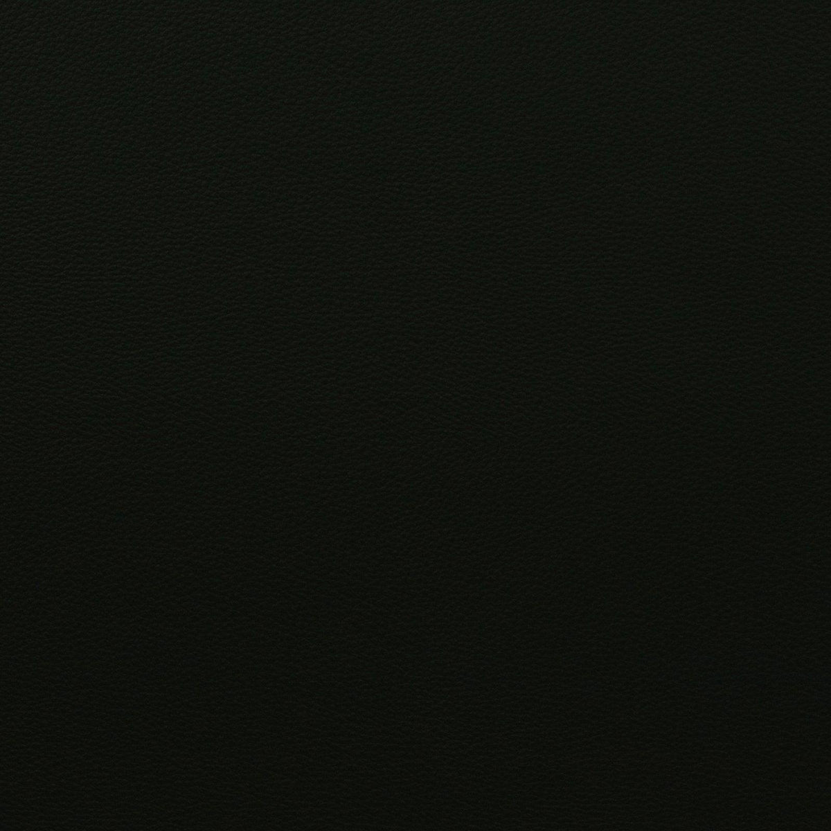 Force-Black - Atlanta Fabrics