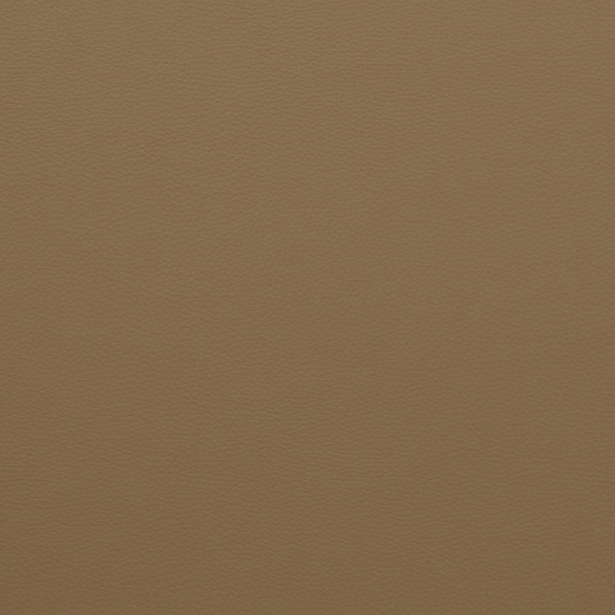Force-Butterscotch - Atlanta Fabrics