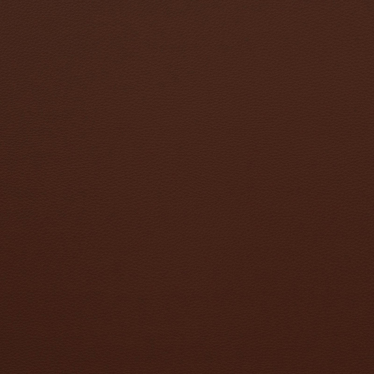 Force-Cayenne - Atlanta Fabrics