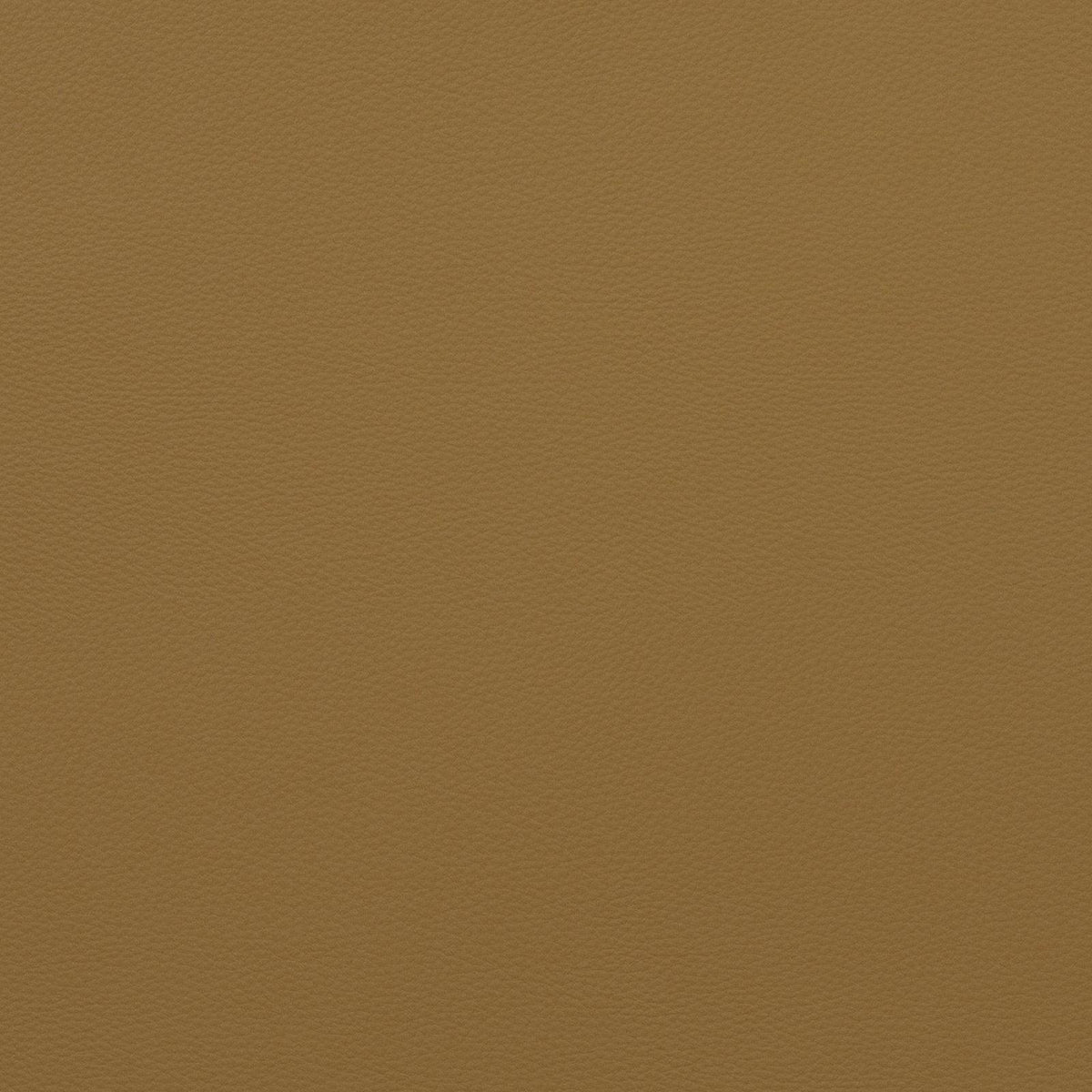 Force-Classic Mustard - Atlanta Fabrics