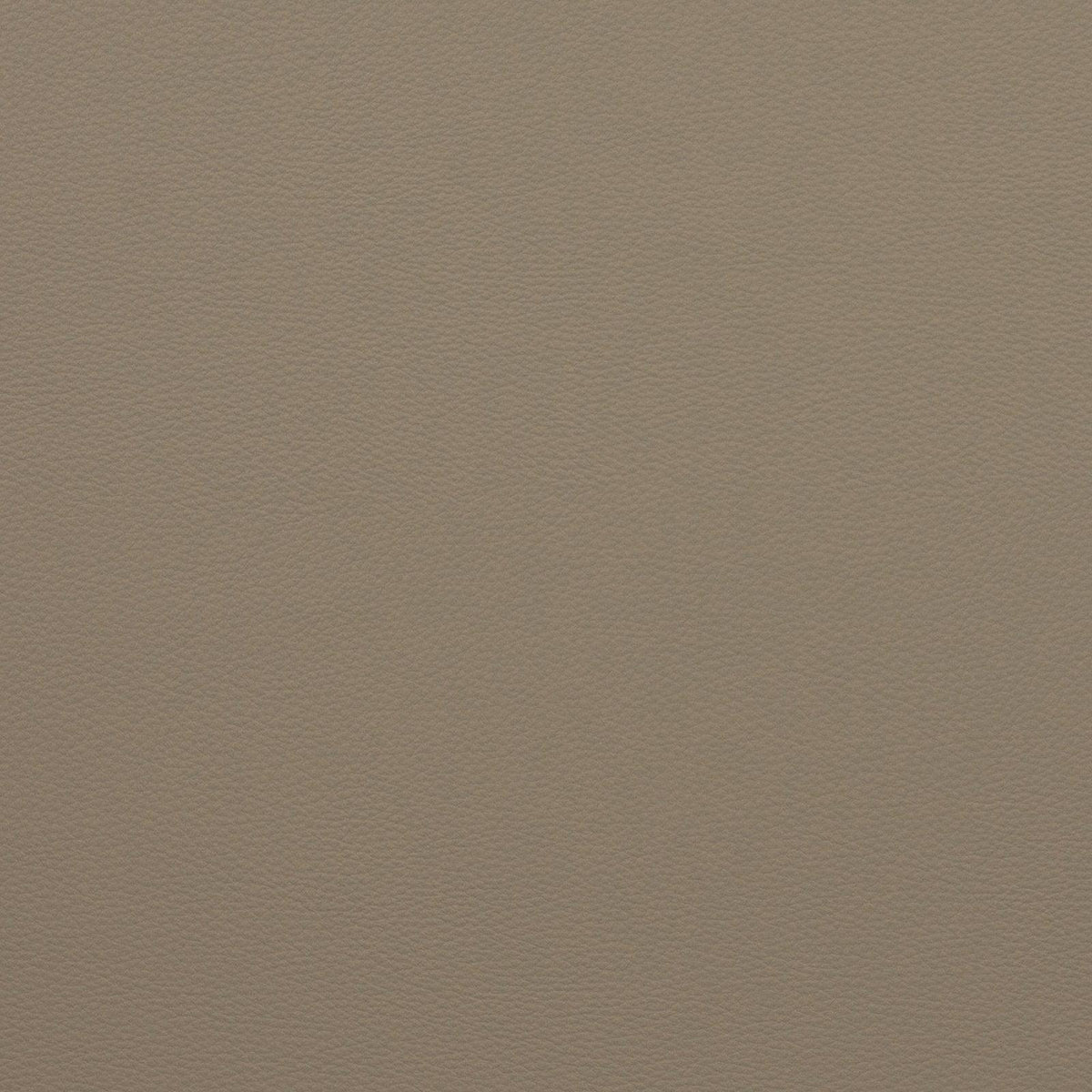 Force-Doeskin - Atlanta Fabrics