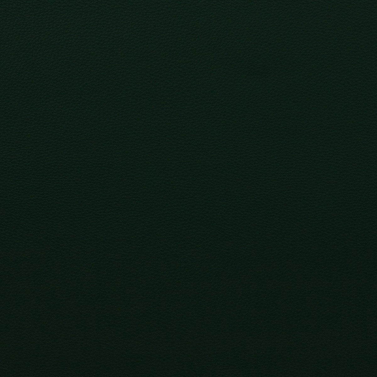 Mitchell Fabrics Force-Forest Green Fabric | Atlanta Fabrics