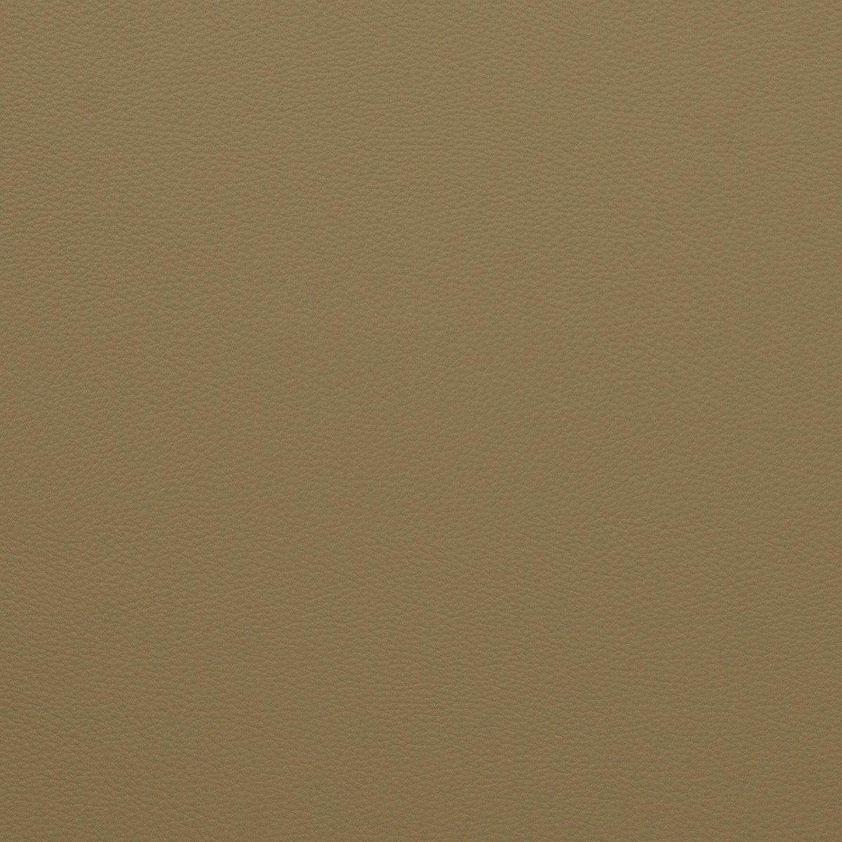 Force-Latte - Atlanta Fabrics