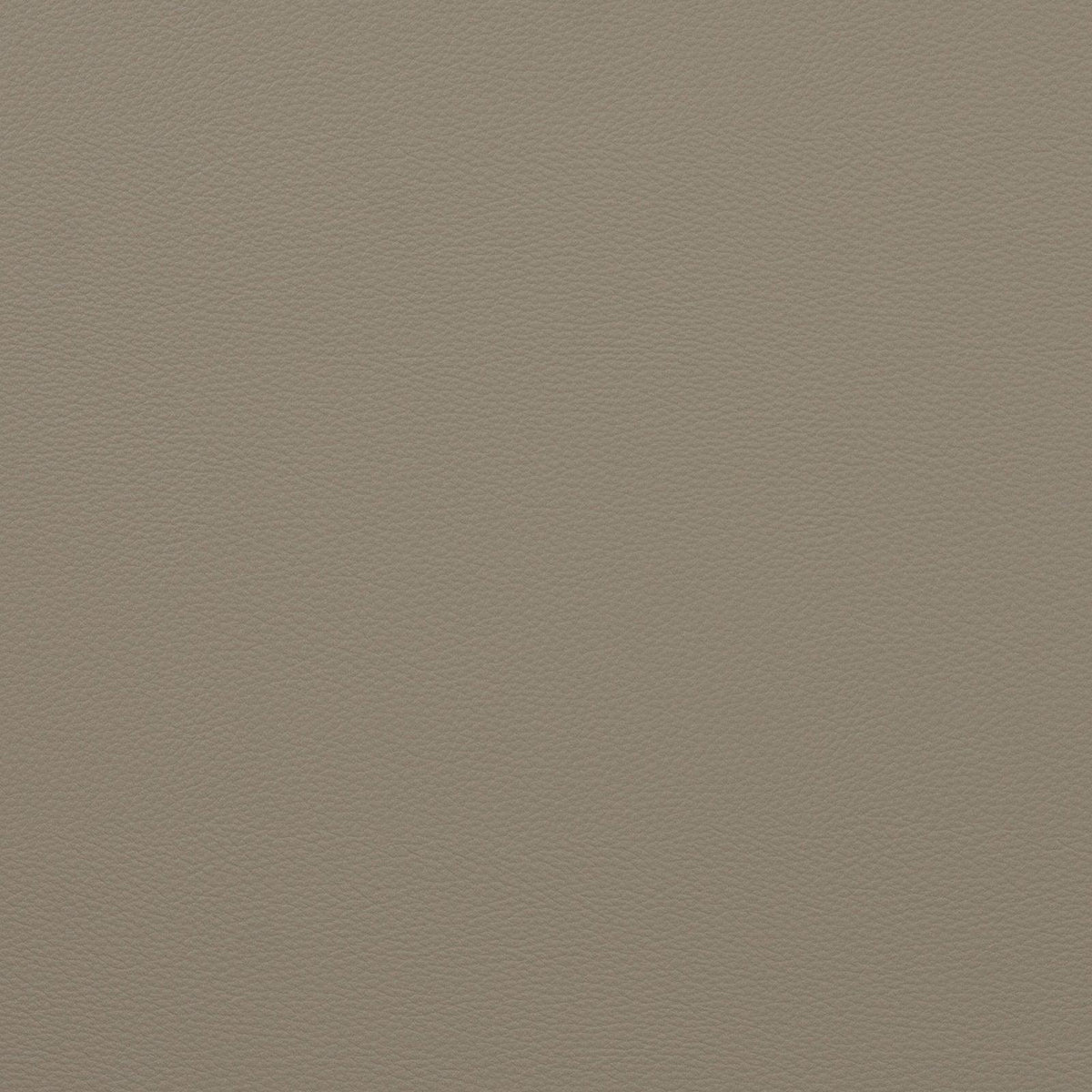 Mitchell Fabrics Force-Light Parchment Fabric | Atlanta Fabrics