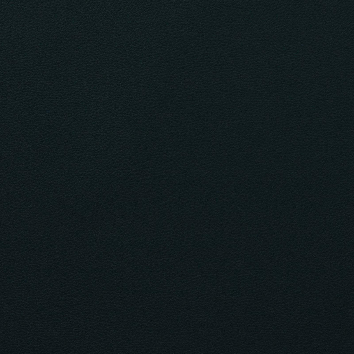 Force-Navy - Atlanta Fabrics