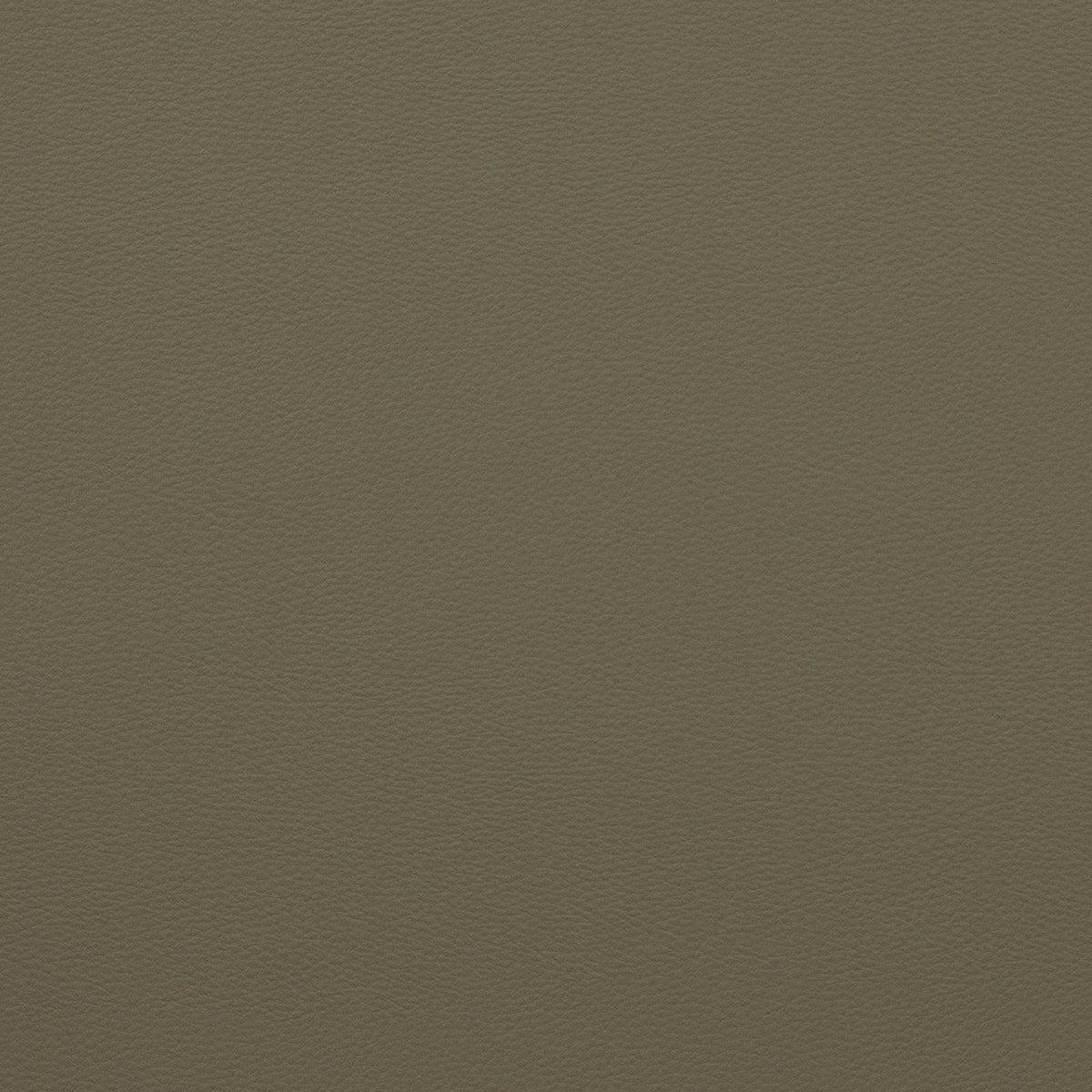 Force-Tea Green - Atlanta Fabrics