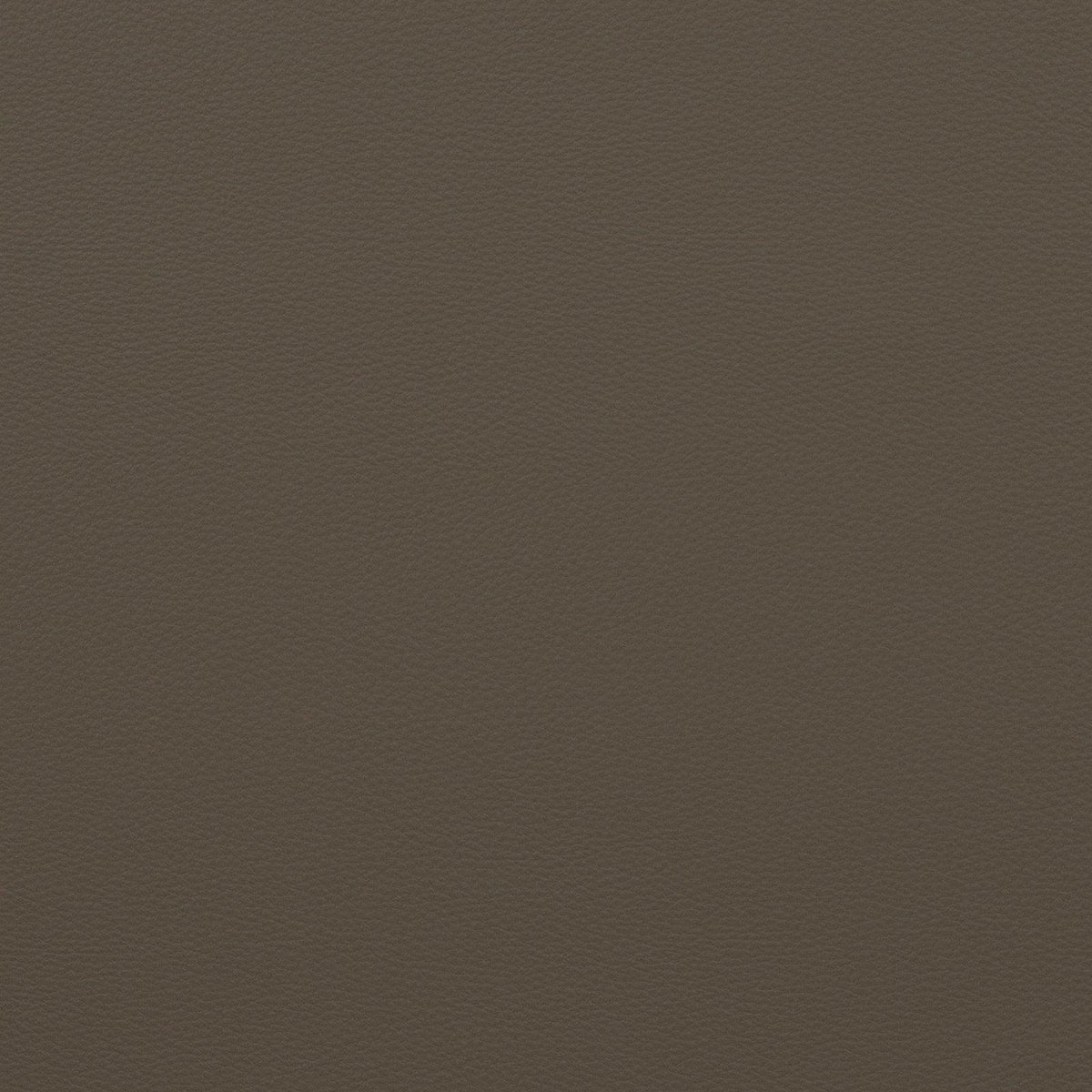 Force-Titanium - Atlanta Fabrics