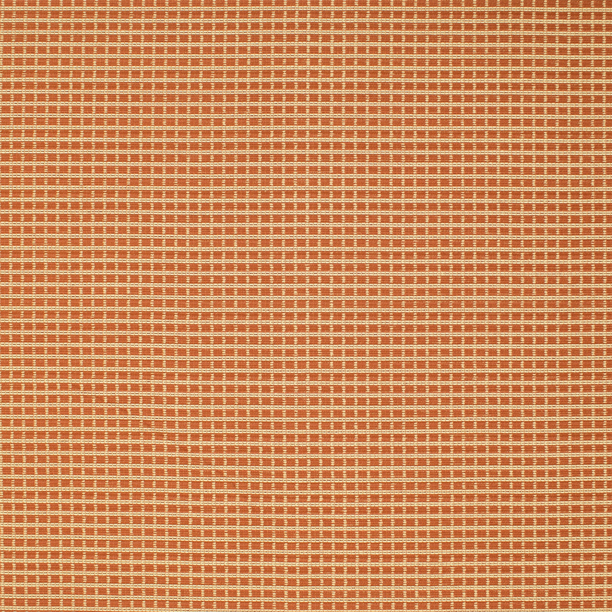 S6981 Orange