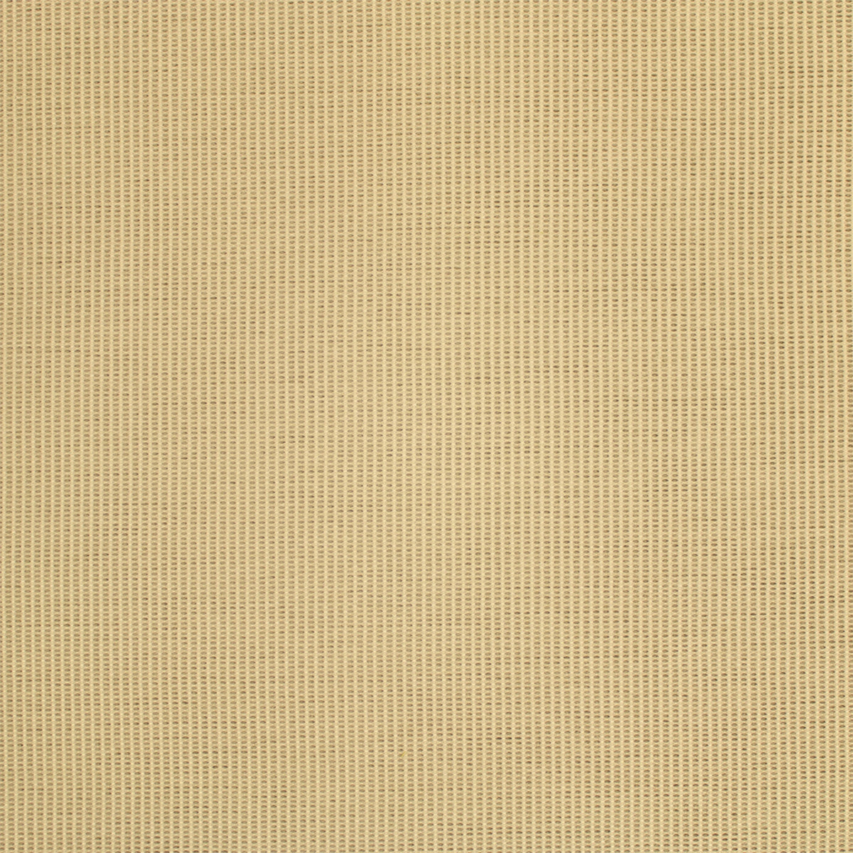 S6813 Dune