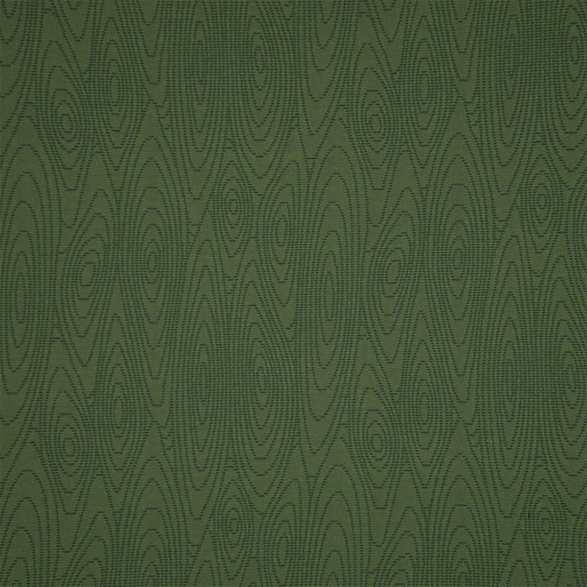 S7794 Leaf
