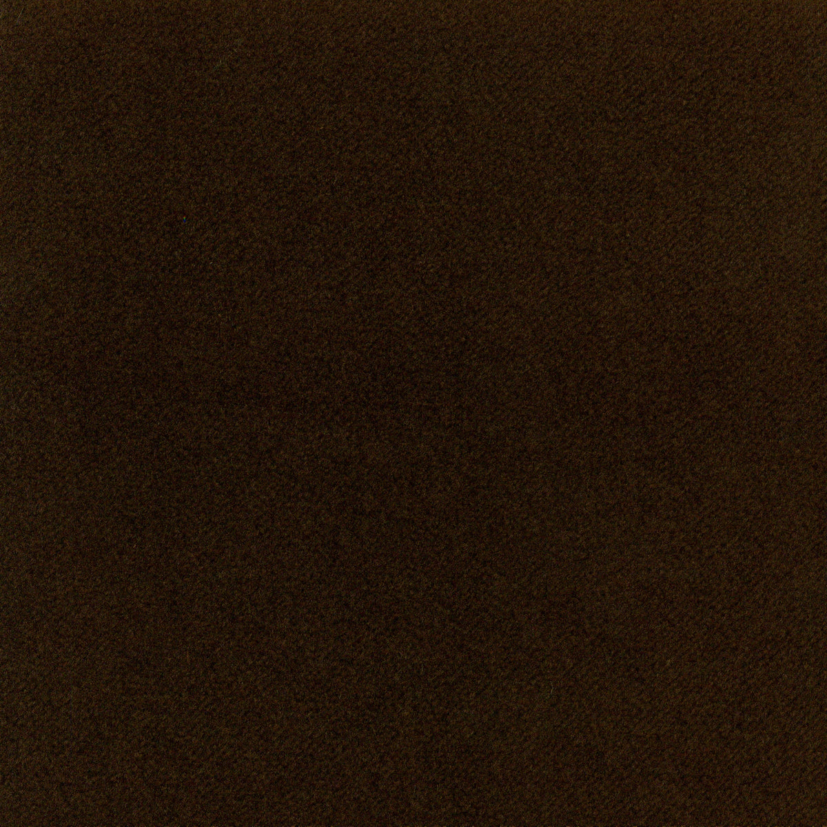 A5330 Godiva