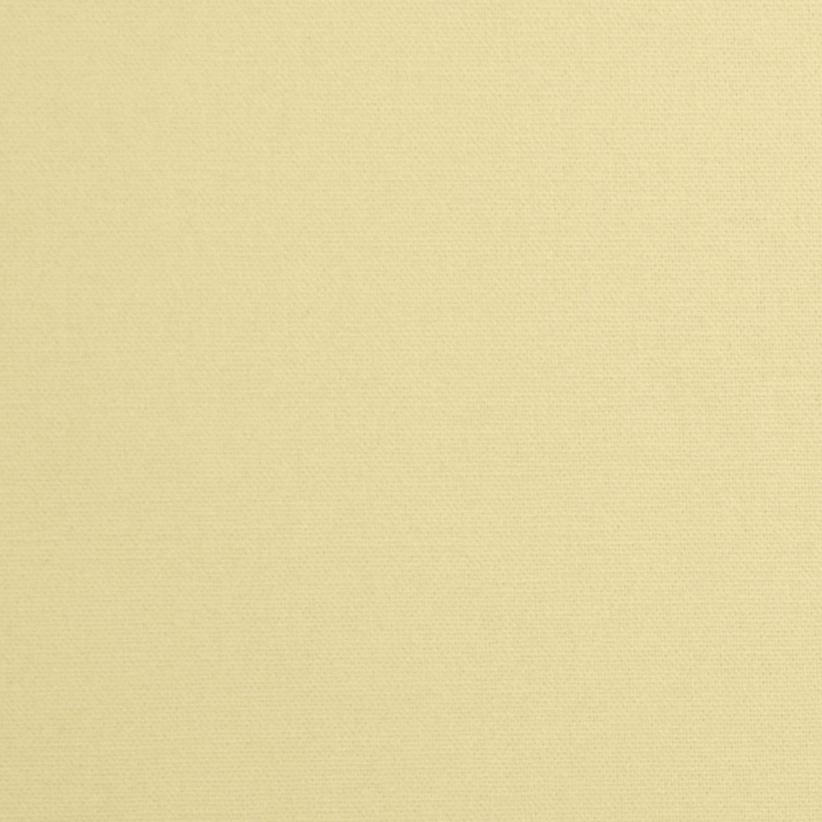 Daffy-Eggshell