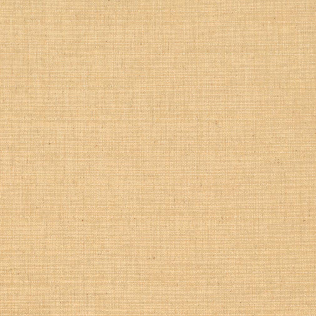 D3678 Maize
