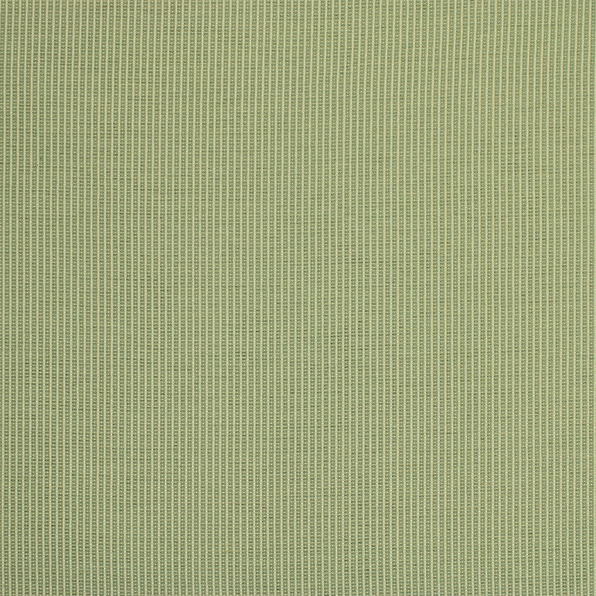 S6877 Sea