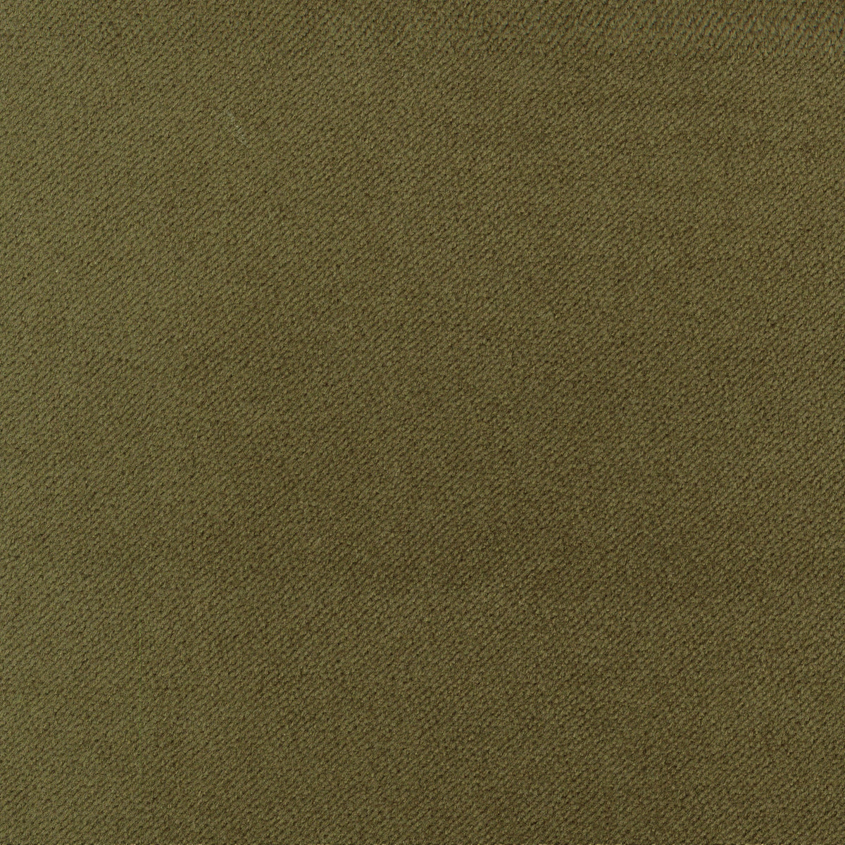 A5315 Olive