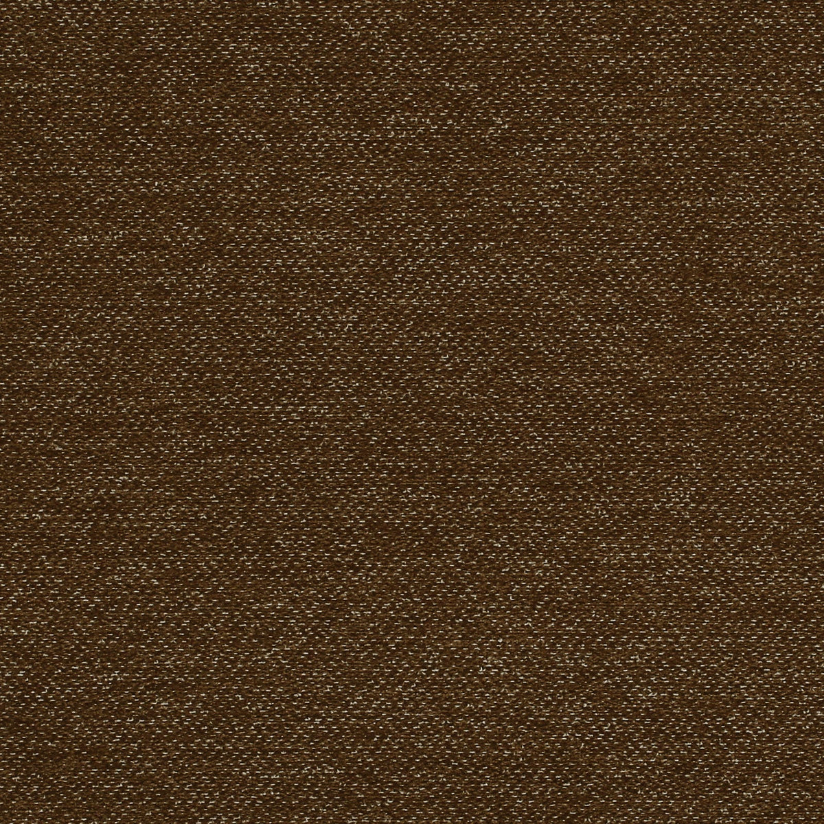 Flannery-Mocha