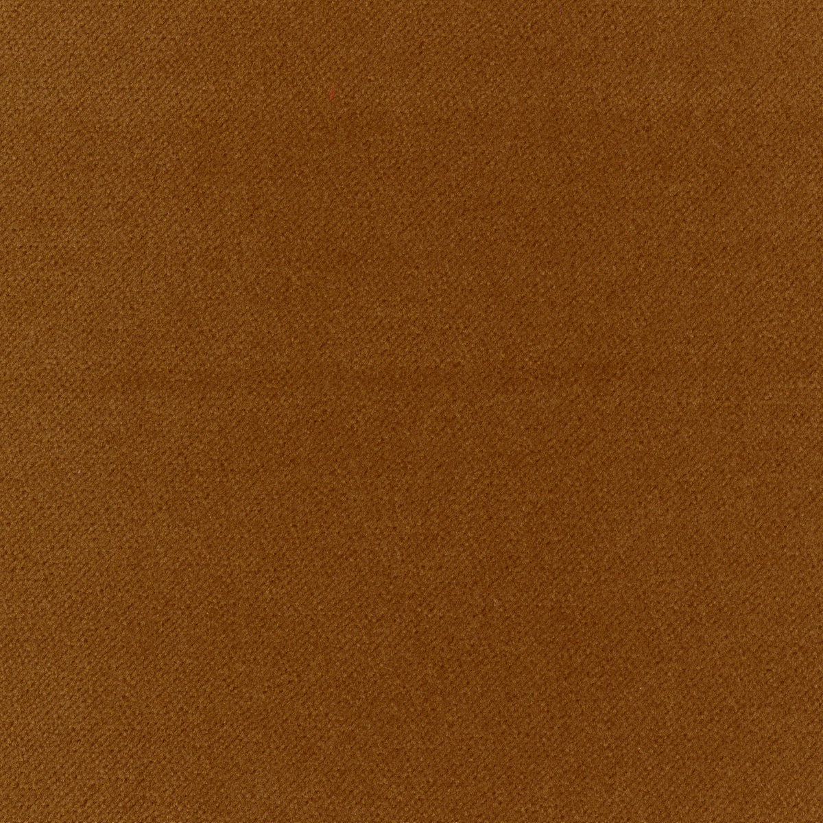 S7804 Nutmeg