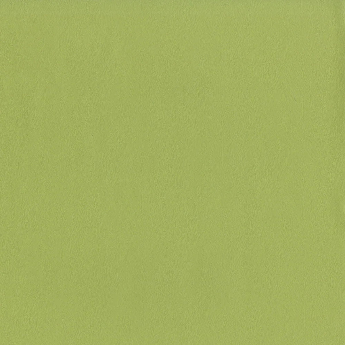Greenhouse F2899 Fabric | Atlanta Fabrics