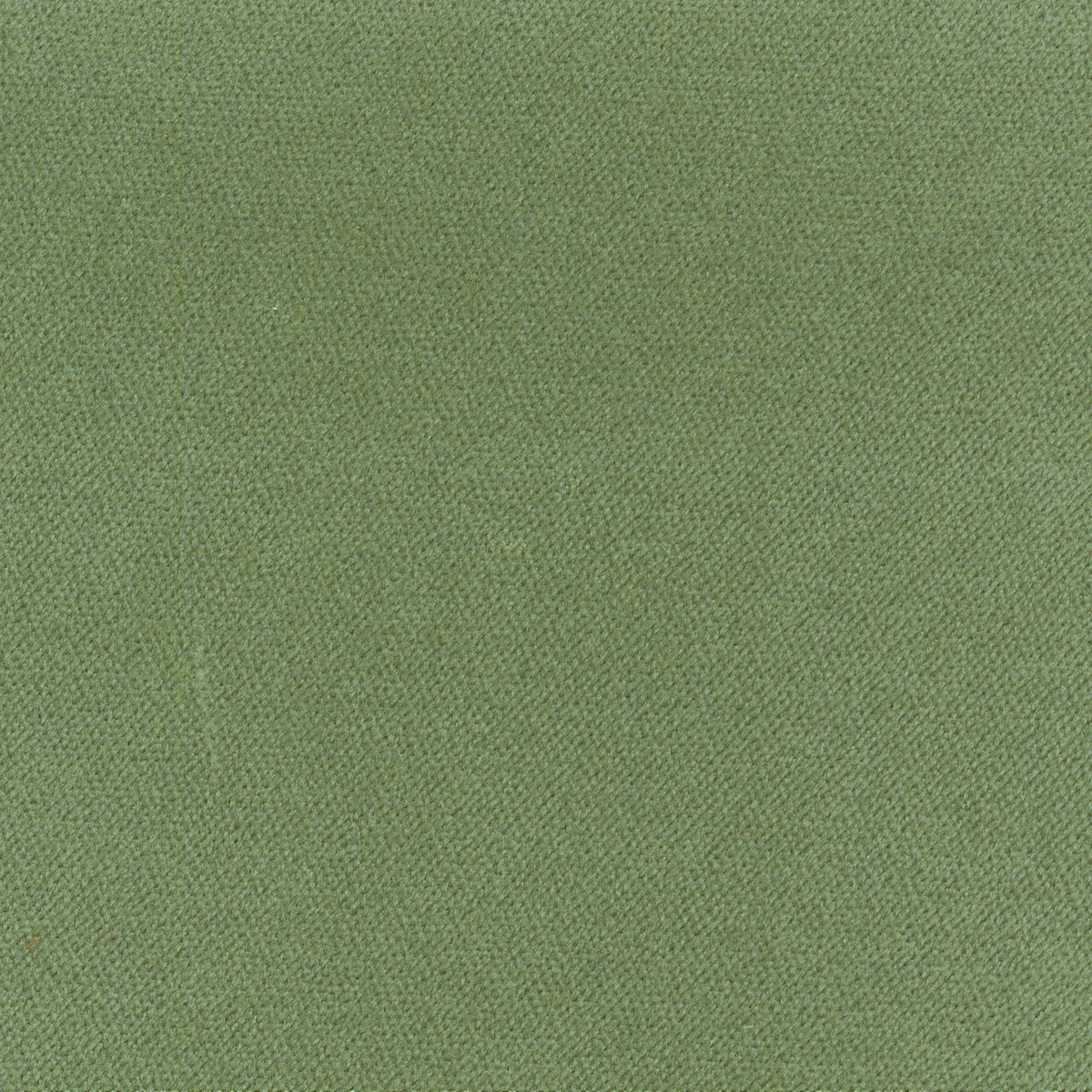 S7806 Meadow