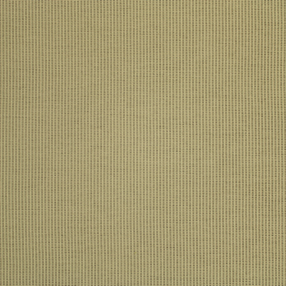 S6807 Pavestone
