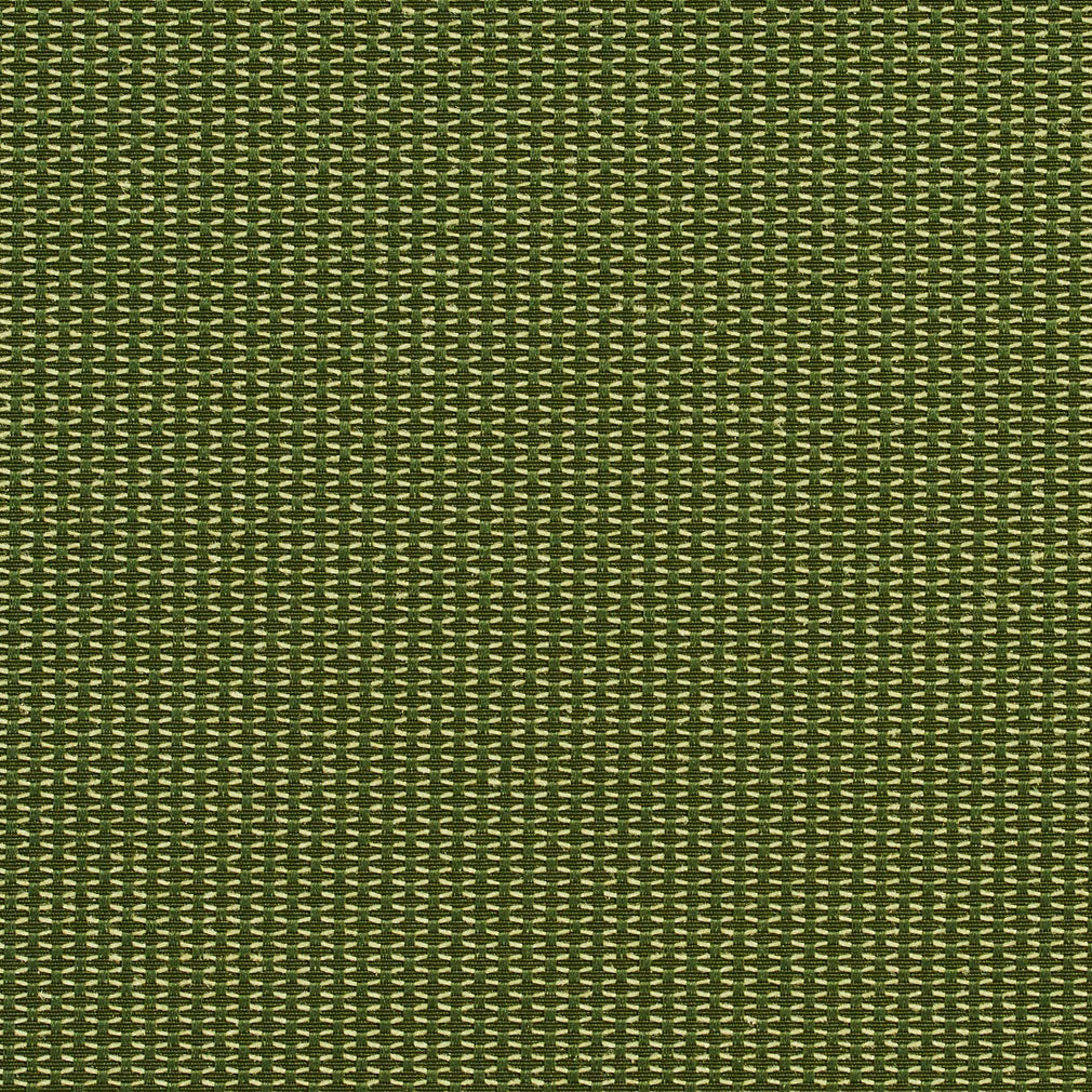 1719 Cactus