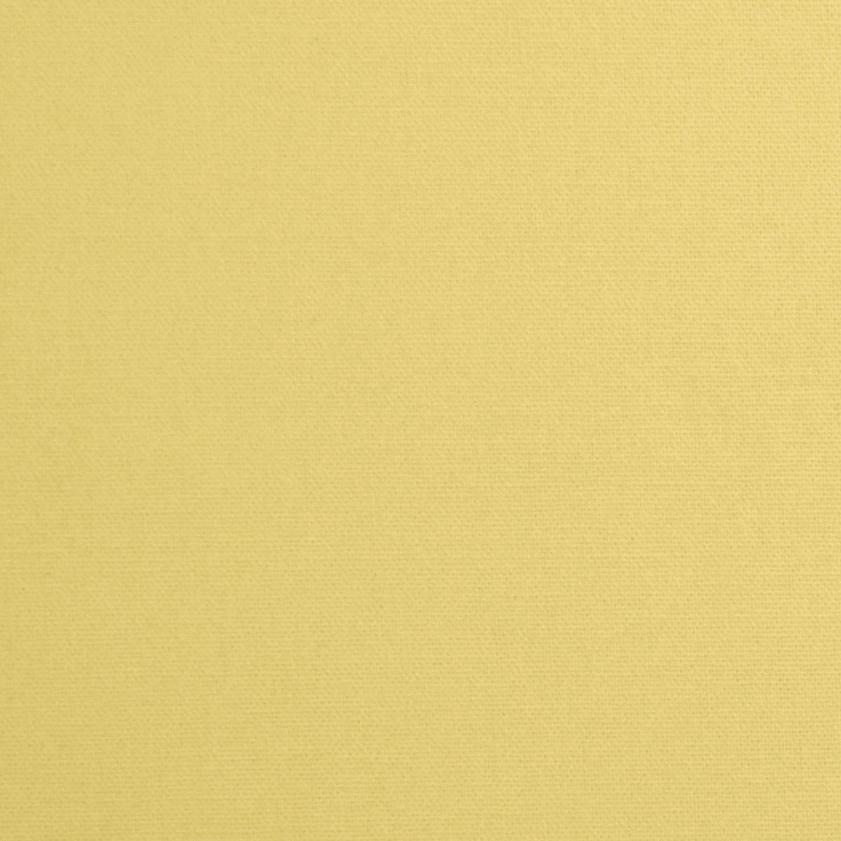 Daffy-Cream